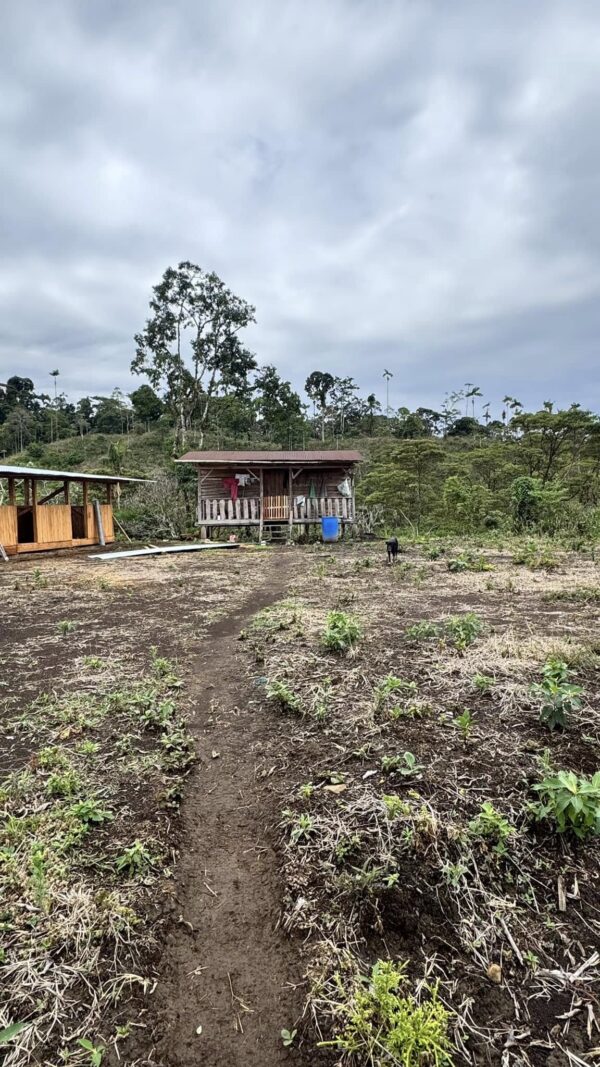 Finca 41 Has