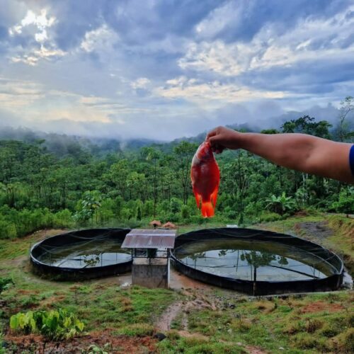 Finca de 35 Hectáreas