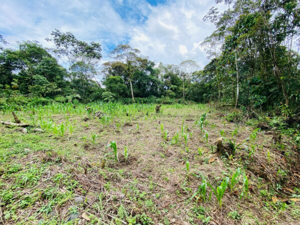 Lote 697m2 San isidro