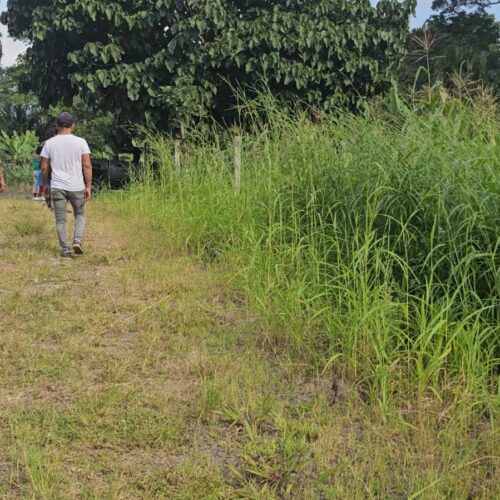 Lote 500m2 Sucua