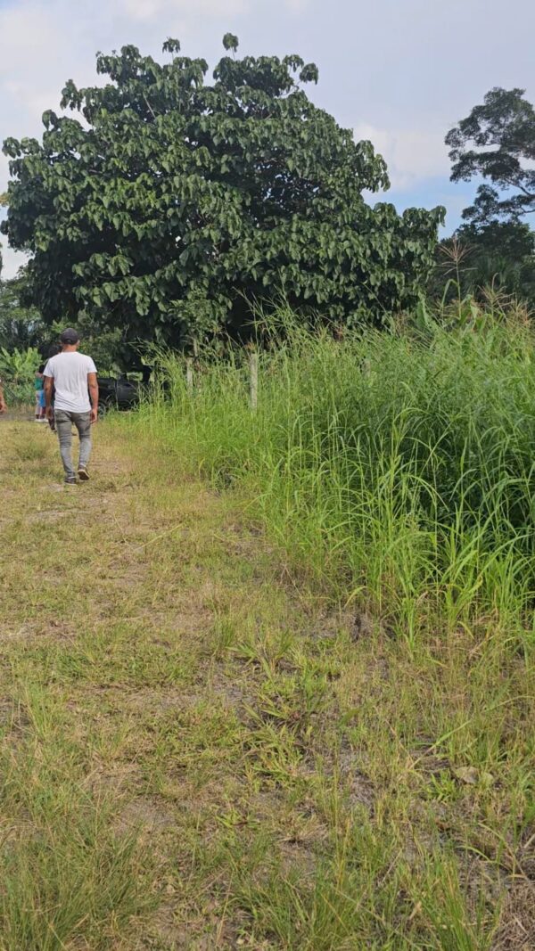 Lote 500m2 Sucua