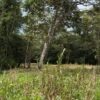 Se vende finca de 36 hectáreas con potencial para proyecto turístico en el cantón Palora-Morona Santiago