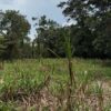 Se vende finca de 36 hectáreas con potencial para proyecto turístico en el cantón Palora-Morona Santiago