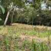 Se vende finca de 36 hectáreas con potencial para proyecto turístico en el cantón Palora-Morona Santiago