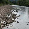 Se vende finca de 36 hectáreas con potencial para proyecto turístico en el cantón Palora-Morona Santiago
