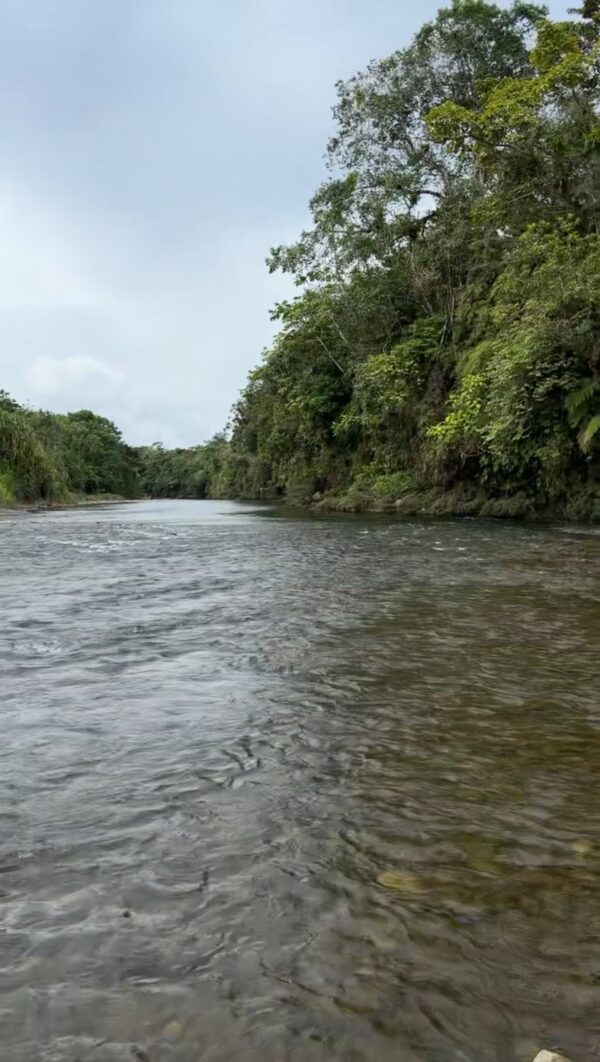 Se vende finca de 36 hectáreas con potencial para proyecto turístico en el cantón Palora-Morona Santiago
