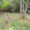 Una PROPIEDAD EN MORONA SANTIAGO - MORONA 1.168m2