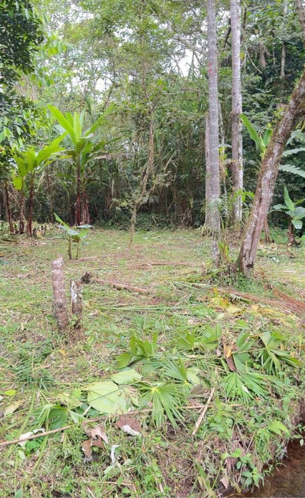Una PROPIEDAD EN MORONA SANTIAGO - MORONA 1.168m2
