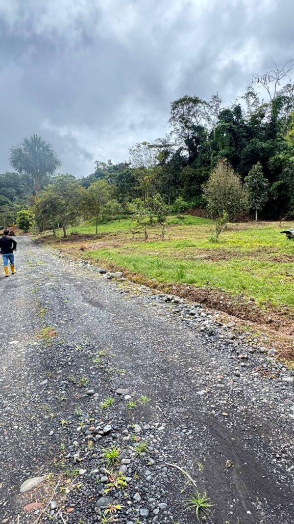 Lotes en JIMBITONO EN MORONA SANTIAGO 1000m2