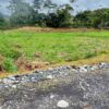 Lotes en JIMBITONO EN MORONA SANTIAGO 1000m2