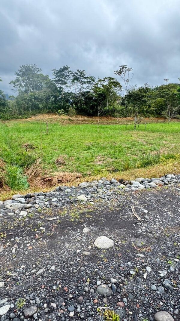 Lotes en JIMBITONO EN MORONA SANTIAGO 1000m2