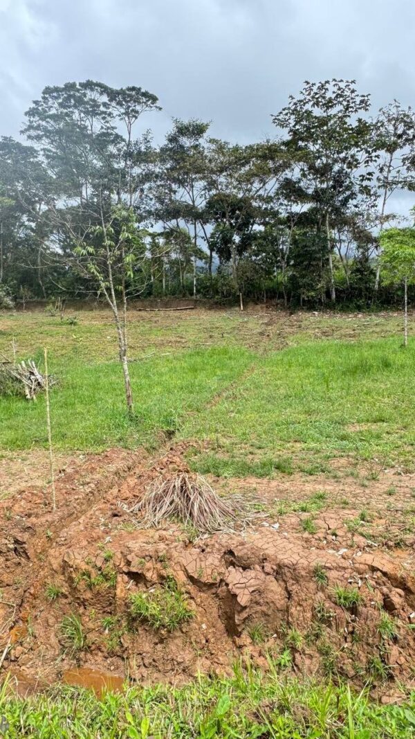 Lotes en JIMBITONO EN MORONA SANTIAGO 1000m2
