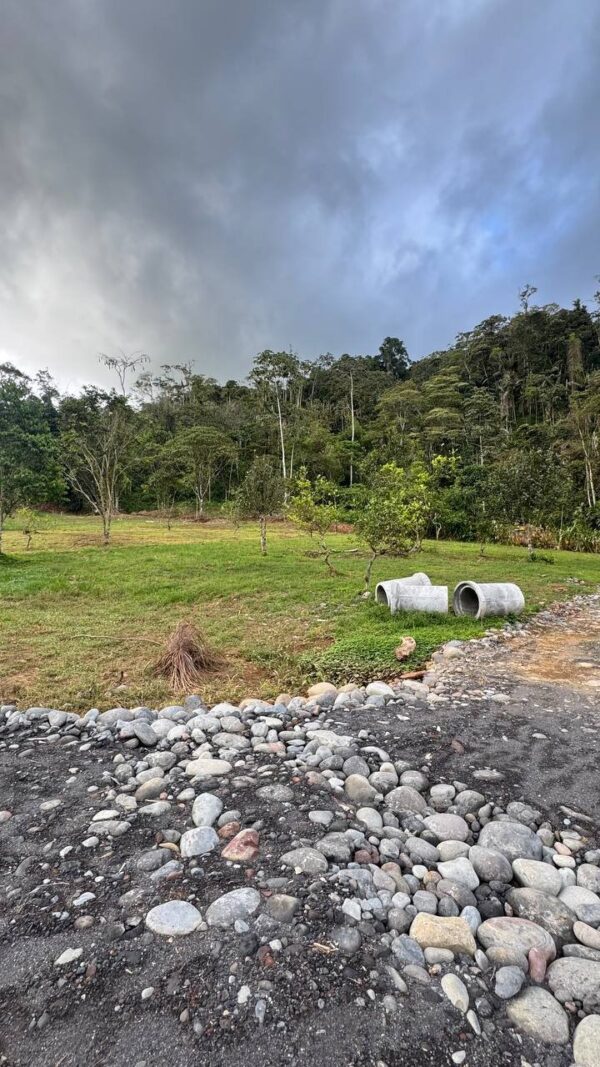 Lotes en JIMBITONO EN MORONA SANTIAGO 1000m2