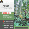Finca en MORONA SANTIAGO - PALORA 50 HECTAREAS