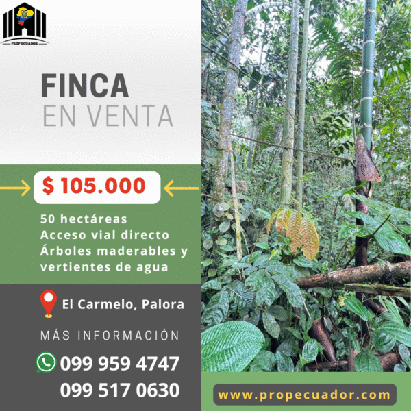 Finca en MORONA SANTIAGO - PALORA 50 HECTAREAS