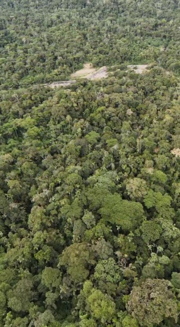 Finca en MORONA SANTIAGO - LIMON INDANZA 17 HECTAREAS