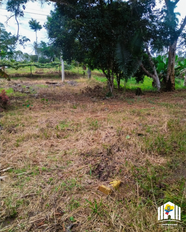 Lote en MORONA SANTIAGO - SEVILLA DON BOSCO 2.742m2