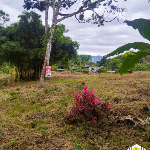 Lote en MORONA SANTIAGO - SEVILLA DON BOSCO 2.742m2