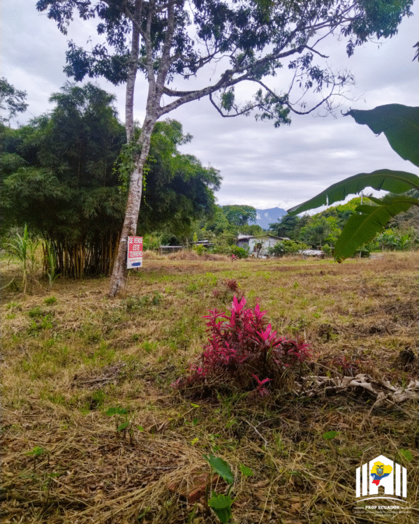 Lote en MORONA SANTIAGO - SEVILLA DON BOSCO 2.742m2