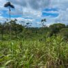 Finca en PASTAZA - MERA
