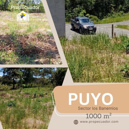 ✨ ¡Oportunidad Única en el Cantón Puyo, Provincia del Pastaza! ✨