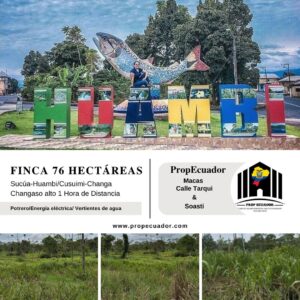 🌿 FINCA EN VENTA – Sucúa - MORONA SANTIAGO 🐄 76 HECTAREAS