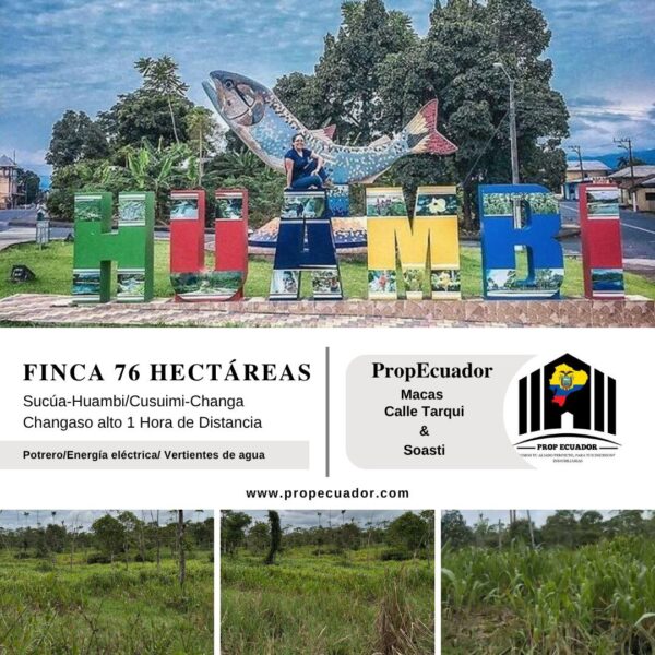 000000000876 🌿 FINCA EN VENTA – Sucúa - MORONA SANTIAGO 🐄 76 HECTAREAS