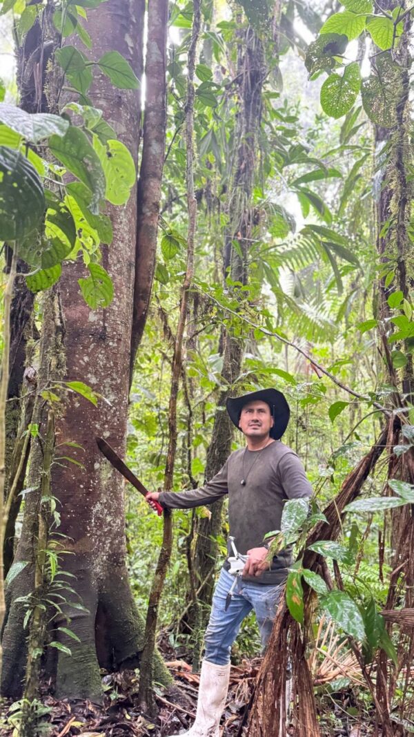 Finca de 100 hectáreas sector Cumandá provincia del Pastaza