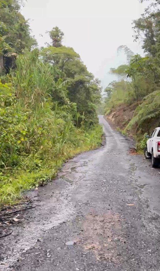 Finca de 100 hectáreas sector Cumandá provincia del Pastaza