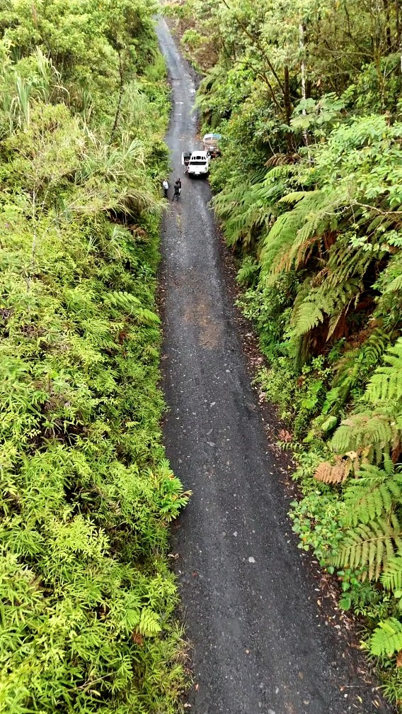 Finca de 100 hectáreas sector Cumandá provincia del Pastaza