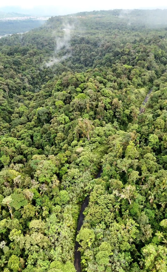 Finca de 100 hectáreas sector Cumandá provincia del Pastaza