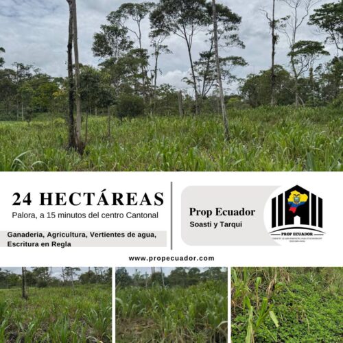 🌿 Finca en venta en Palora 🌿  24 Has