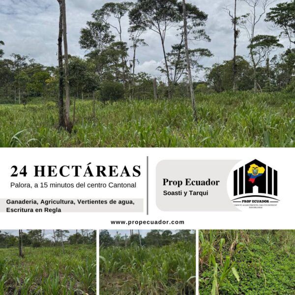 🌿 Finca en venta en Palora 🌿  24 Has