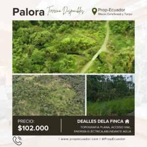 🌿✨ GRAN OPORTUNIDAD – FINCA EN VENTA ✨🌿 44 Hectáreas