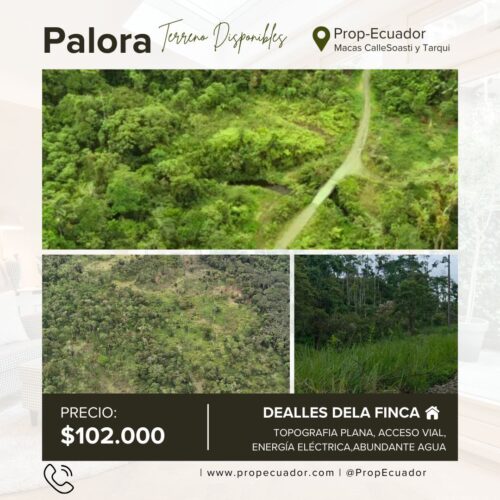 🌿✨ GRAN OPORTUNIDAD – FINCA EN VENTA ✨🌿 44 Hectáreas