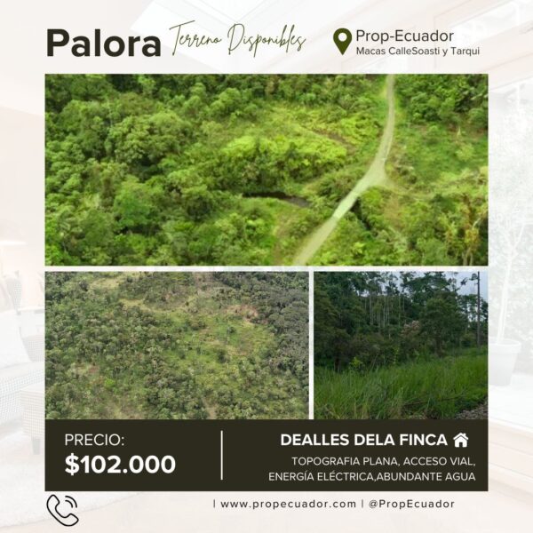 🌿✨ GRAN OPORTUNIDAD – FINCA EN VENTA ✨🌿 44 Hectáreas