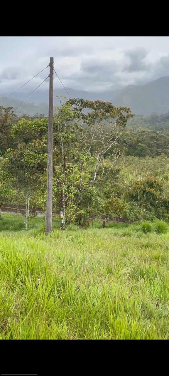 🌿 OPORTUNIDAD ÚNICA EN COLONIA AZUAY – PARROQUIA RÍO NEGRO 📍 Cantón Baños, Provincia del Tungurahua