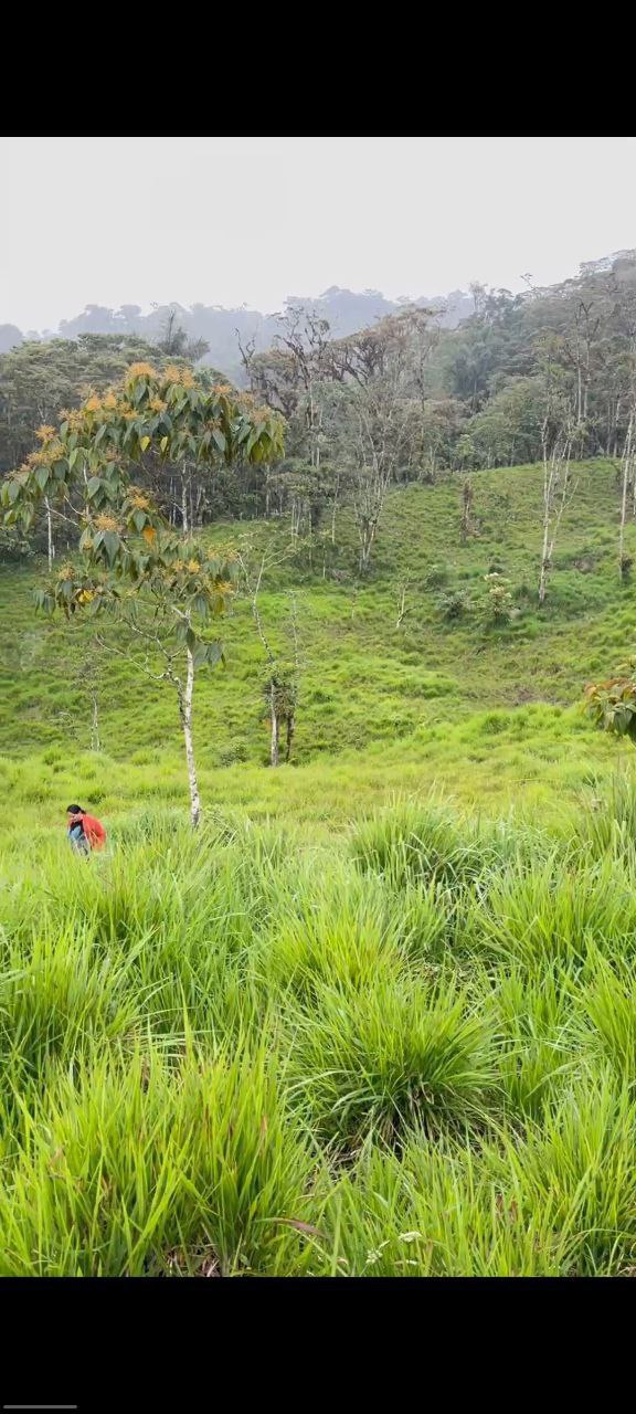 🌿 OPORTUNIDAD ÚNICA EN COLONIA AZUAY – PARROQUIA RÍO NEGRO 📍 Cantón Baños, Provincia del Tungurahua