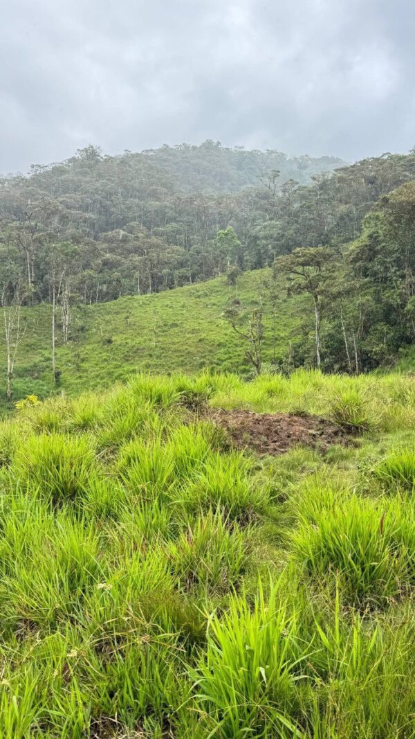 🌿 OPORTUNIDAD ÚNICA EN COLONIA AZUAY – PARROQUIA RÍO NEGRO 📍 Cantón Baños, Provincia del Tungurahua