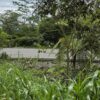 ¡Gran oportunidad de inversión en la Amazonía!   Ubicación privilegiada: Vía Puyo – Tena, km 17, parroquia Fátima  Finca de 26 hectáreas