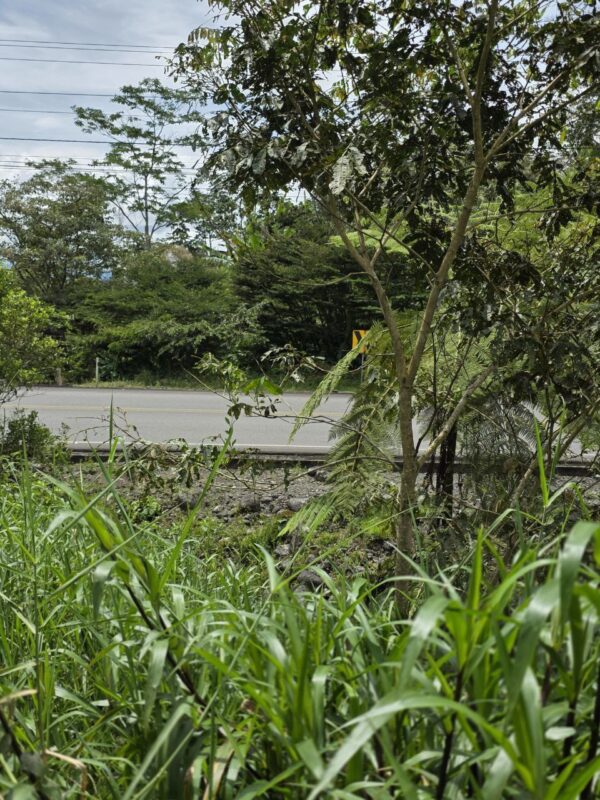 ¡Gran oportunidad de inversión en la Amazonía!   Ubicación privilegiada: Vía Puyo – Tena, km 17, parroquia Fátima  Finca de 26 hectáreas