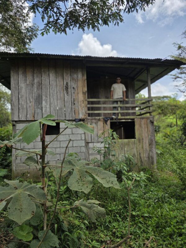 ¡Gran oportunidad de inversión en la Amazonía!   Ubicación privilegiada: Vía Puyo – Tena, km 17, parroquia Fátima  Finca de 26 hectáreas