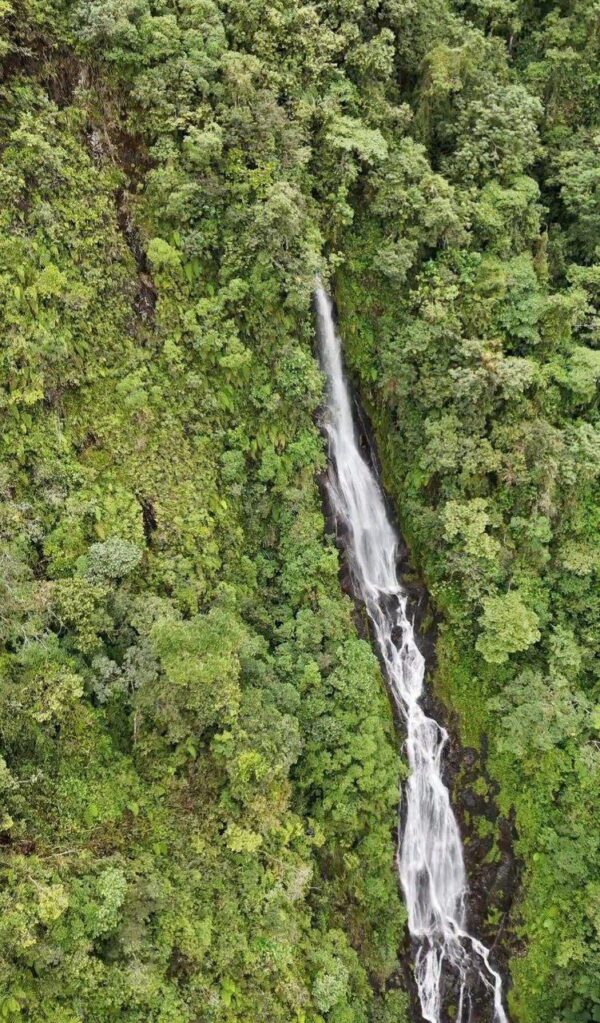 Gran oportunidad en Morona Santiago  Finca de 55 hectáreas en venta, ubicada en la vía Riobamba, a solo 15 minutos de Macas y 2h30 de Riobamba