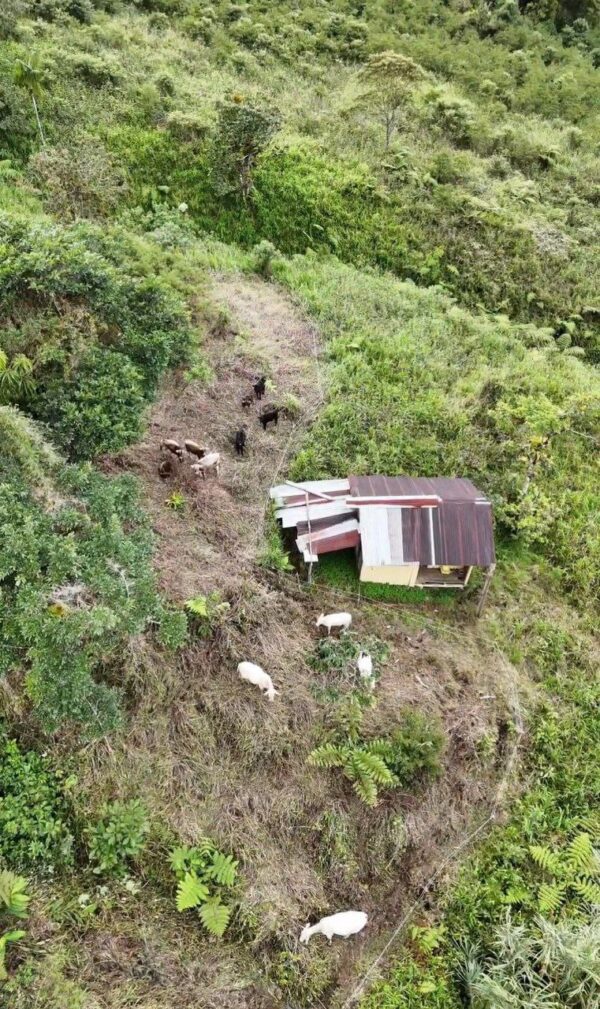 Gran oportunidad en Morona Santiago  Finca de 55 hectáreas en venta, ubicada en la vía Riobamba, a solo 15 minutos de Macas y 2h30 de Riobamba