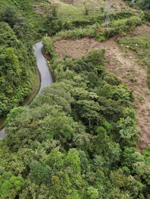 Gran oportunidad en Morona Santiago  Finca de 55 hectáreas en venta, ubicada en la vía Riobamba, a solo 15 minutos de Macas y 2h30 de Riobamba