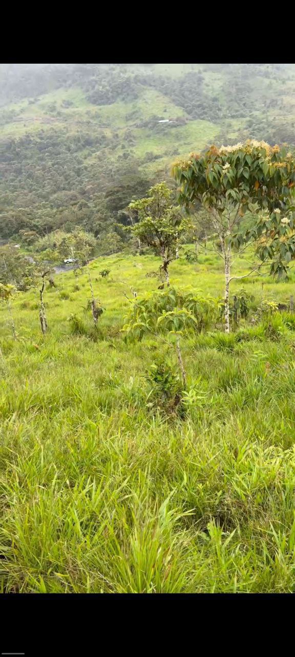 🌿 OPORTUNIDAD ÚNICA EN COLONIA AZUAY – PARROQUIA RÍO NEGRO 📍 Cantón Baños, Provincia del Tungurahua