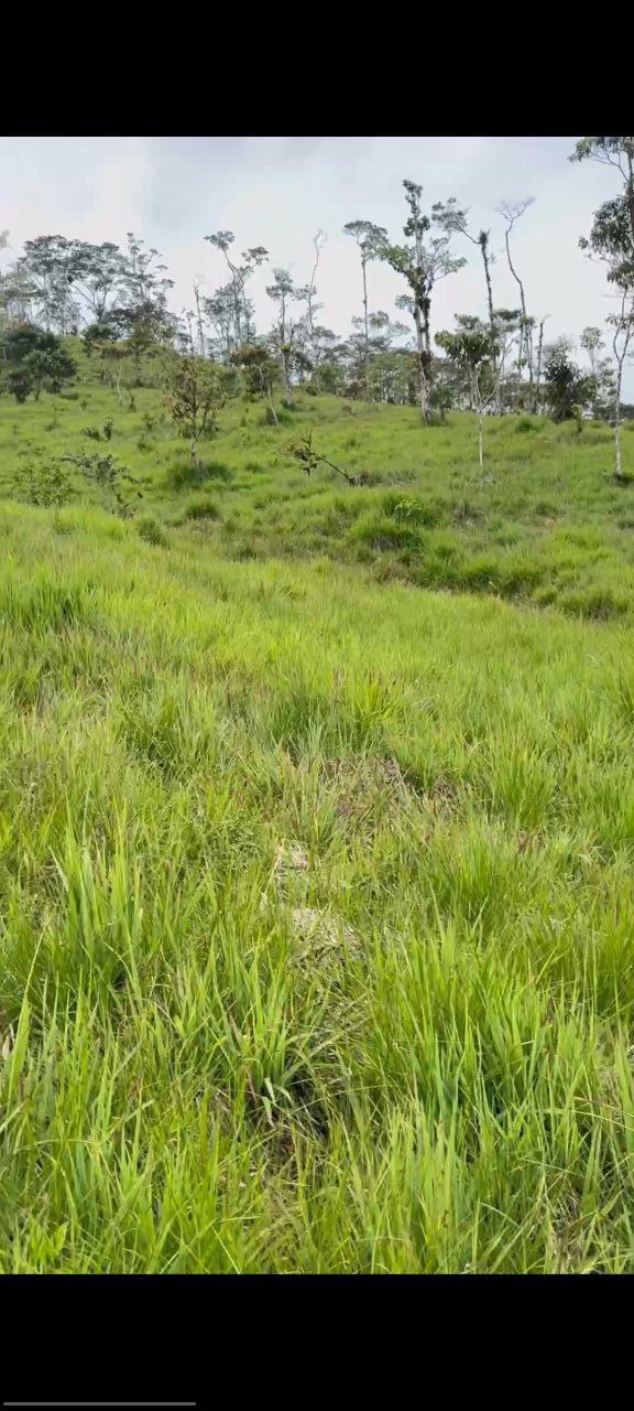 🌿 OPORTUNIDAD ÚNICA EN COLONIA AZUAY – PARROQUIA RÍO NEGRO 📍 Cantón Baños, Provincia del Tungurahua