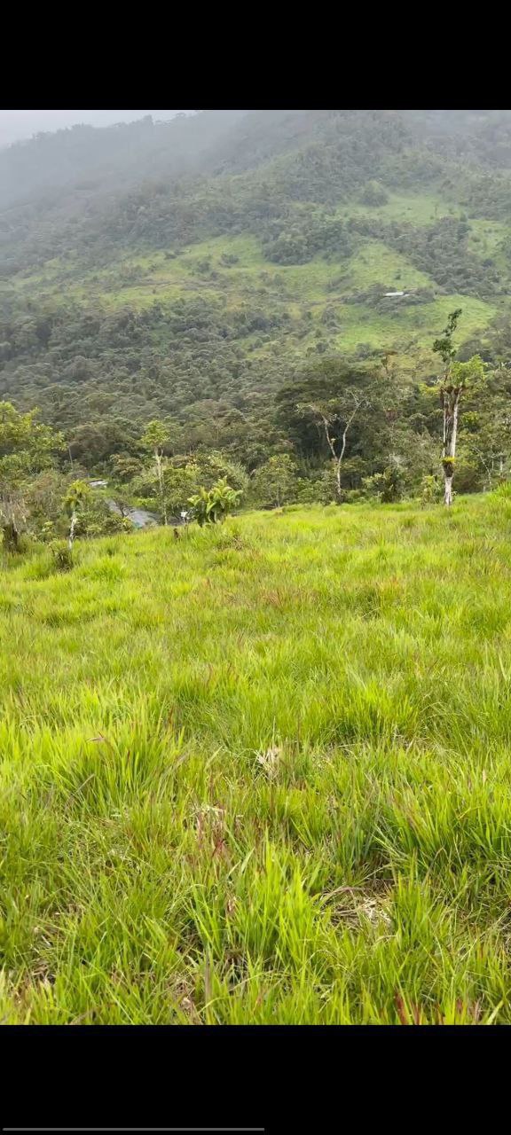 🌿 OPORTUNIDAD ÚNICA EN COLONIA AZUAY – PARROQUIA RÍO NEGRO 📍 Cantón Baños, Provincia del Tungurahua