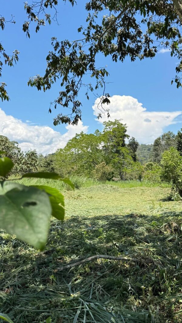 🌿✨ Terreno en Venta ✨🌿 1172m2 EN ARAPICOS ENTRE SUCÚA Y MACAS