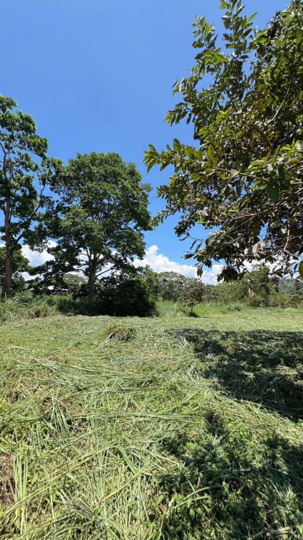 🌿✨ Terreno en Venta ✨🌿 1172m2 EN ARAPICOS ENTRE SUCÚA Y MACAS